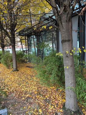 Foto - andere in Düsseldorf