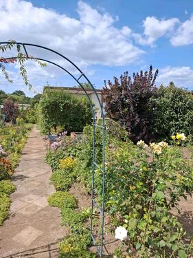 Foto - Grundst&uuml;ck in Dessau-Roßlau zur Miete
