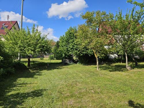 Foto - 5 Zimmer Einfamilienhaus in Reifenberg