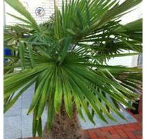 ÜBER DEN DÄCHER VON OSNABRÜCK - 570,00&nbsp;EUR Kaltmiete, ca.&nbsp; 42,00&nbsp;m&sup2; in Osnabrück (PLZ: 49082) Nahne