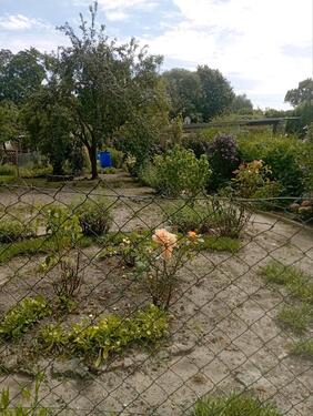 Foto - Grundstück in Demmin zur Miete