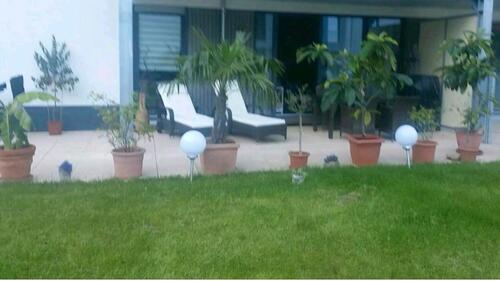 Foto - Wunderschöne Wohnung mit grossem Garten zu verkaufen