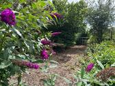 Foto - Schönes Gartengrundstück Freizeitgrundstück + Gartenhaus