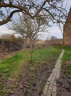Foto - Grundstück in Delitzsch zur Miete
