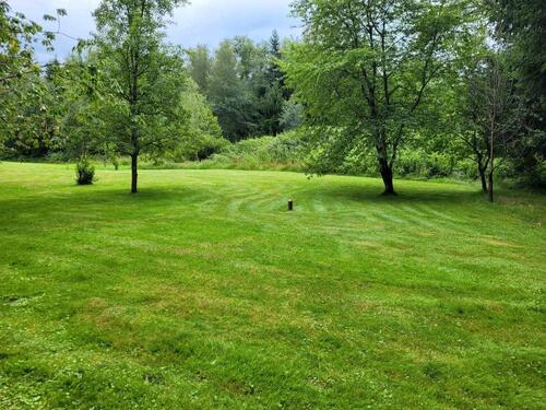 Foto - 15 Zimmer Einfamilienhaus in Regen