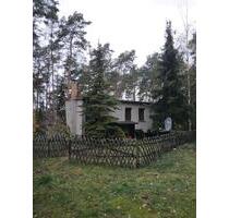 Schönes Erholungsgrundstück im Schlaubetal - Müllrose