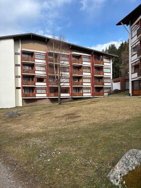 Foto - 3 Zimmer Erdgeschoßwohnung zur Miete in Schluchsee