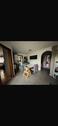 Foto - 3.5 Zimmer Dachgeschoßwohnung in Schorndorf