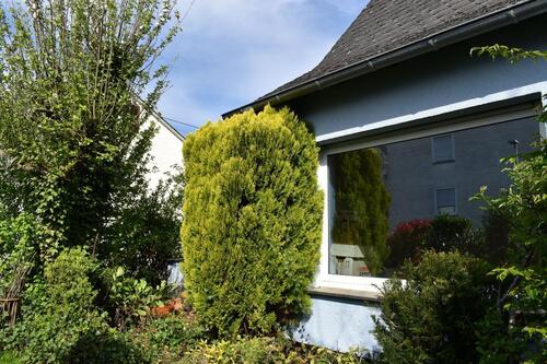 Foto - 6 Zimmer Einfamilienhaus in Montabaur