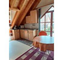 Ferienwohnung 1-ZIMMER-APPARTMENT in Randersacker