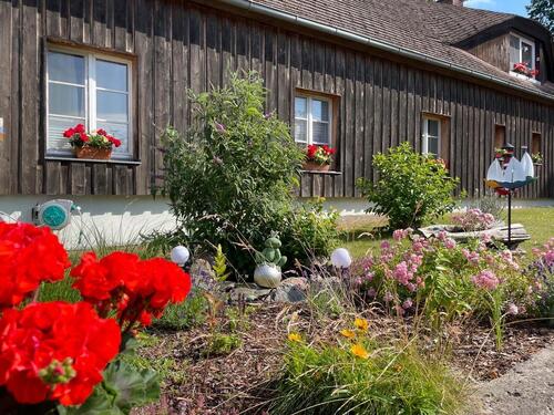 Foto - andere zur Miete in Koserow