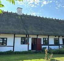 Ferienhaus Dönemark Lolland an Liebhaber zu verkaufen - Wuppertal Arrenberg