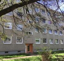 Die gefällt mir: individuelle 3-Zimmer-Wohnung in grüner Wohnlage - Kassel Bettenhausen