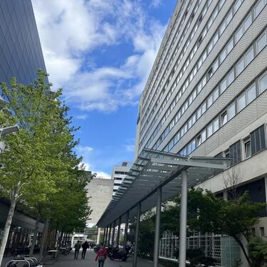 Foto - andere in Dresden