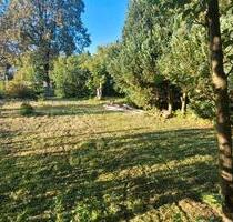 Verpachtung eines ruhigen Gartens in Oberaula - Künzell