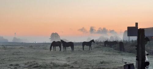 Foto - Wohnen auf Zeit in ruhiger Feldrandlage