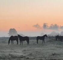 Wohnen auf Zeit in ruhiger Feldrandlage - Dörpen