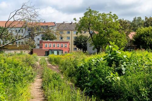 Foto - 5.5 Zimmer Einfamilienhaus zum Kaufen in Brandenburg an der Havel
