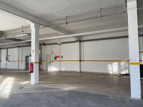 Foto - andere in Mammelzen