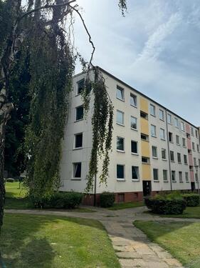 Foto - 3 Zimmer, 63pm mit Balkon in Salzgitter-Lebenstedt