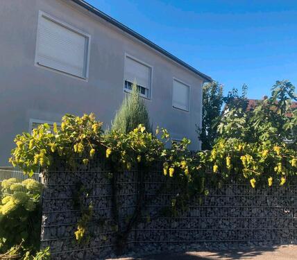 Foto - 4 Zimmer Einfamilienhaus in Ergolding