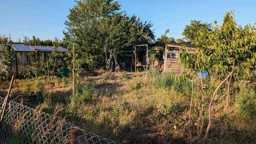 Foto - Grundst&uuml;ck in Halle (Saale) zur Miete