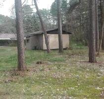 LAUBE DATSCHE GARTEN GRUNDSTÜCK URLAUB BLOCKHAUS BORKWALDE - Brück