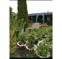 Pachtgarten Sommerlaube - 2.500,00&nbsp;EUR Kaltmiete, ca.&nbsp; 0,00&nbsp;m&sup2; in Halberstadt (PLZ: 38820)