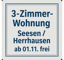 3 Zimmer Wohnung mit Balkon in 1. OG im 2 Pateinhaus (Privat) - Seesen