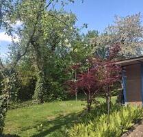 Doppelhaushlfte mit Grundstück - 449.000,00 EUR Kaufpreis, in Berlin (PLZ: 13088) Pankow