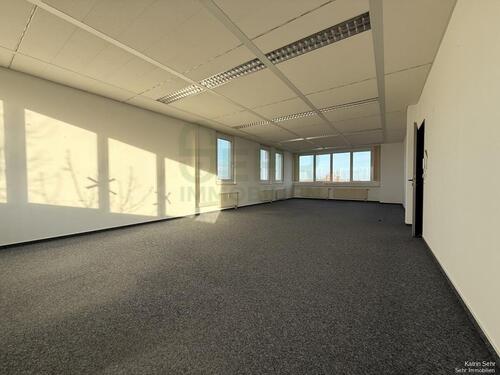 Foto - andere in Chemnitz zur Miete