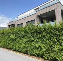 3 ZKB Wohnung mit Balkon in ruhiger Wohnlage von Rheda - Rheda-Wiedenbrück