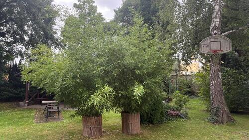 Foto - Einfamilienhaus zum Kaufen in Berlin