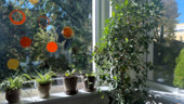 Foto - Einfamilienhaus in Berlin