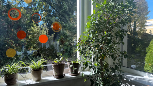 Foto - Einfamilienhaus in Berlin