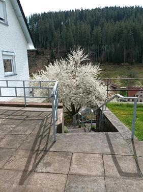 Foto - Haus mit großem Grundstück zu verkaufen