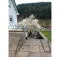 Haus mit großem Grundstück zu verkaufen - Altensteig