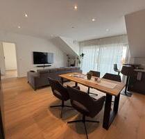 Neubau Dachgeschosswohnung inkl Dachterrasse, Aufzug & Top-Ausst. - Sinsheim