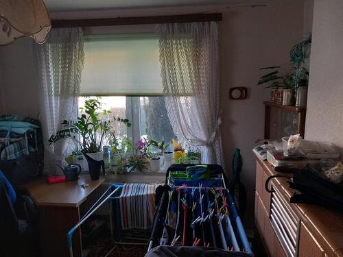 Foto - Einfamilienhaus in Erfurt zum Kaufen