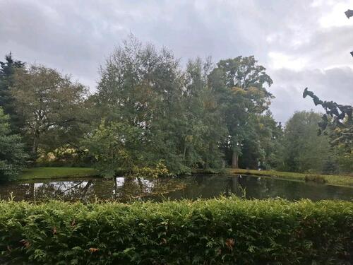 Foto - 