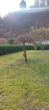 Foto - Erdgeschosswohnung mit Balkon in Bendorf-Sayn