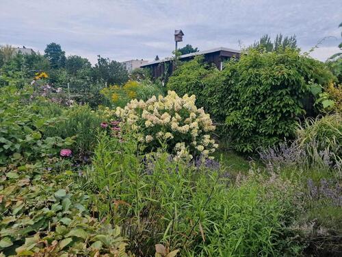 Foto - Wunderschöner Kleingarten in FG Nähe B101