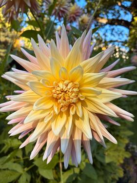 Foto - Tiefgaragenstellplatz - 70,00 EUR Miete,