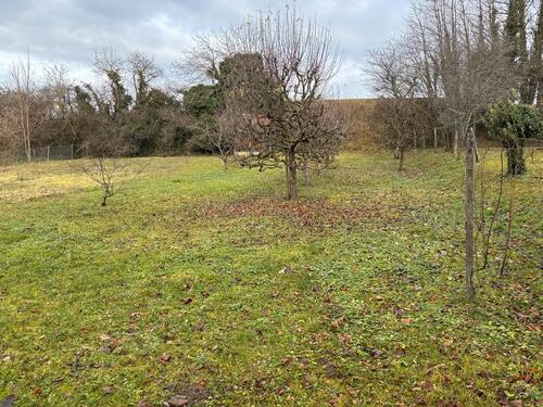 Foto - FreizeitgrundstückGartengrundstück in Kippenheim zu verpachten