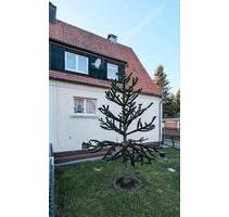 Platz für Träume: Gepflegte DHH auf 1.200 m² Naturgrundstück - Schwarza