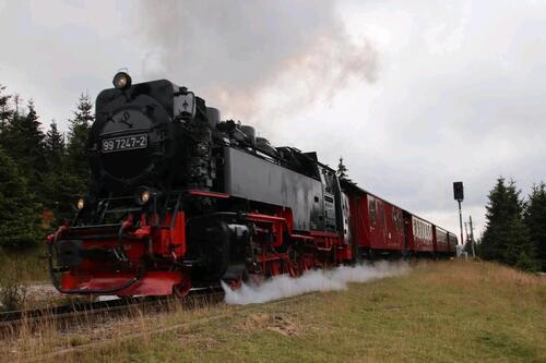 Foto - Urlaub Ferienwohnung Harz - 40,00&nbsp;EUR Kaltmiete,