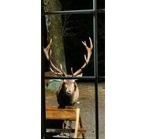 Ferienwohnung HarzLiebe - 780,00 EUR Kaltmiete, in Langelsheim (PLZ: 38685)