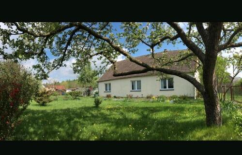 Foto - coliving bis Mai oder länger - 500,00 EUR Kaltmiete,