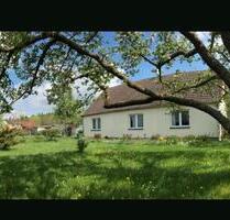 coliving bis Mai oder länger - 500,00 EUR Kaltmiete, ca.  70,00 m² in Burg Stargard (PLZ: 17094)