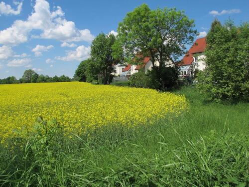 Foto - 5 Zimmer Doppelhaushälfte zum Kaufen in Dresden